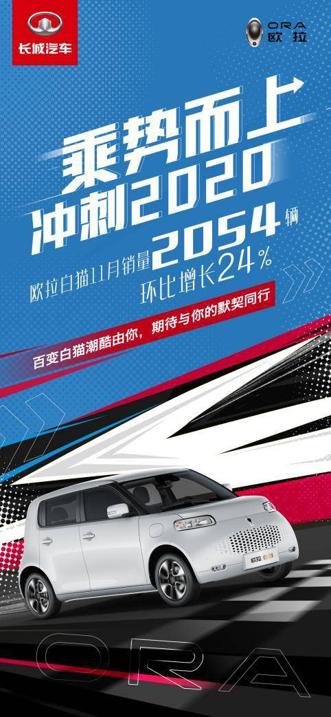 欧拉白猫11月畅销超2000台! 欧拉白猫11月畅销超2000台!
