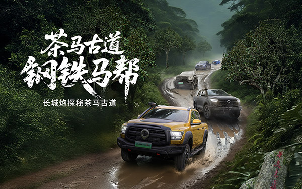 燃动云南